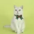 Qinhul Collier de Noël avec nœud pour chat