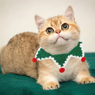 Qinhul Colliers écharpe de Noël pour chats et chiens