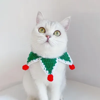Qinhul Colliers écharpe de Noël pour chats et chiens