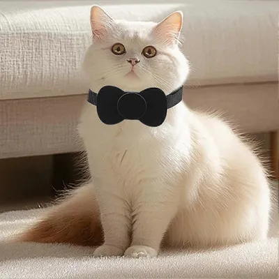 Collier GPS intelligent pour traceur d'animaux