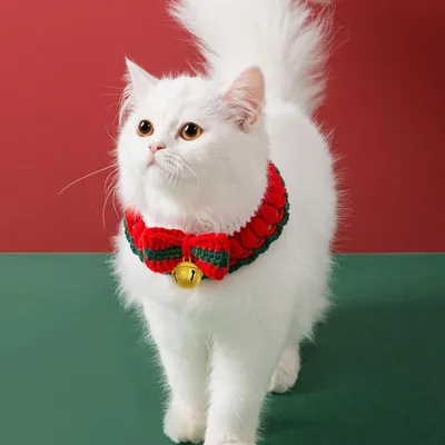 Qinhul Collier de chat de Noël