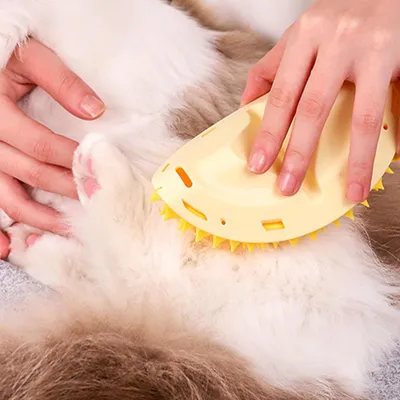 KPYTE Brosse de massage pour chat