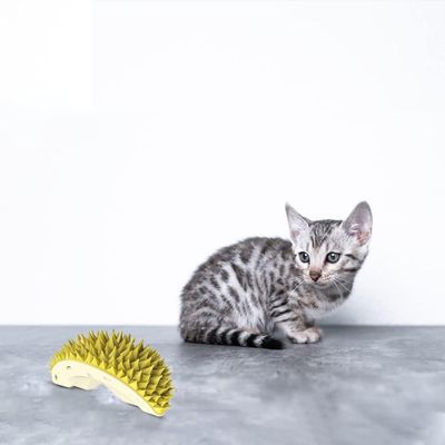 KPYTE Brosse de massage pour chat