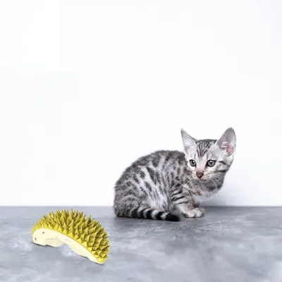 KPYTE Brosse de massage pour chat