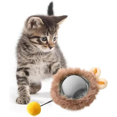 UAMLY Sphère en silicone avec queue pour chats