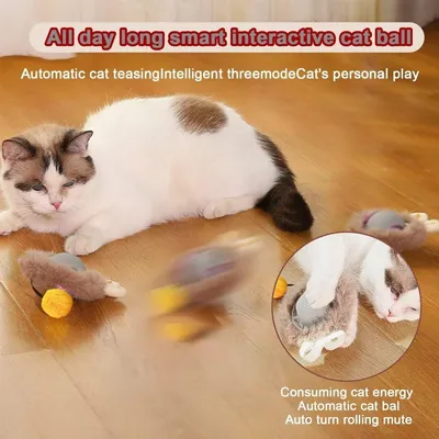 UAMLY Sphère en silicone avec queue pour chats