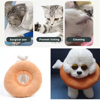 Reitlaze Chien Collier Récupération Post Opératoire Collerette