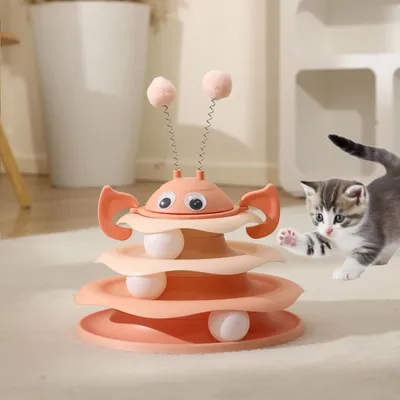 Teaser d'auto-divertissement pour chats