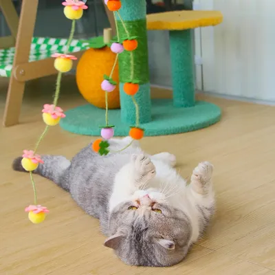 Reitlaze Jouet baguette pour chat avec clochette