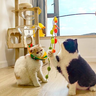 UAMLY Juguete varita para gatos con cascabel
