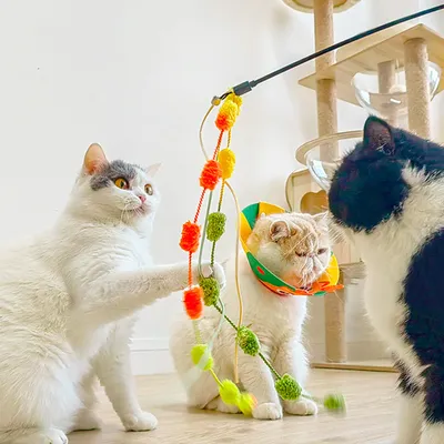 Jouet baguette pour chat avec clochette