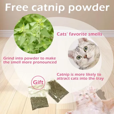 Qinhul Planche à gratter en papier pour chat, jouet pour chat