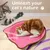 Qinhul Planche à gratter en papier pour chat, jouet pour chat