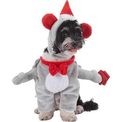 Qinhul Ensemble de costumes de Noël pour chien