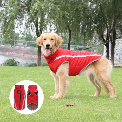 Qinhul Wintermäntel für Hunde Qinhul Wintermäntel für Hunde