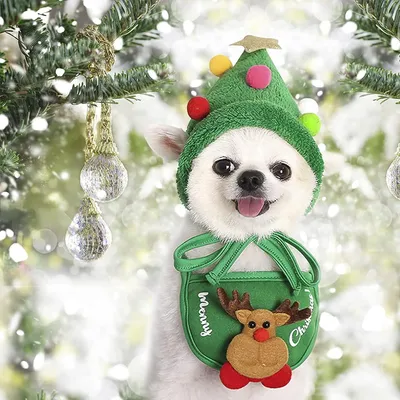 KPYTE Hunde-Weihnachtsschal und -Mütze KPYTE Hunde-Weihnachtsschal und -Mütze