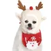 KPYTE Niedliche Weihnachtskostüme für Katzen und Hunde