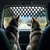Fudajo Grille d’aération Noire de Voiture pour Chien 177 x 240 mm 19 kg Gri Fudajo Grille d’aération Noire de Voiture pour Chien 177 x 240 mm 19 kg Gri