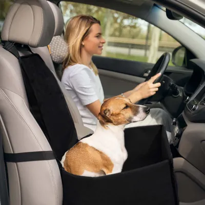 Wiltec Siège voiture pour chiens chats petits et de moyenne taille - 430 x Wiltec Siège voiture pour chiens chats petits et de moyenne taille - 430 x