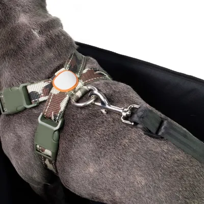 Wiltec Siège voiture pour chiens chats petits et de moyenne taille - 430 x Wiltec Siège voiture pour chiens chats petits et de moyenne taille - 430 x