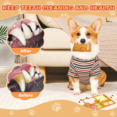 KPYTE Jouet olfactif éducatif pour chien