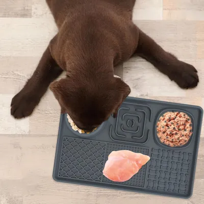 Tapis de léchage lent à succion pour chien