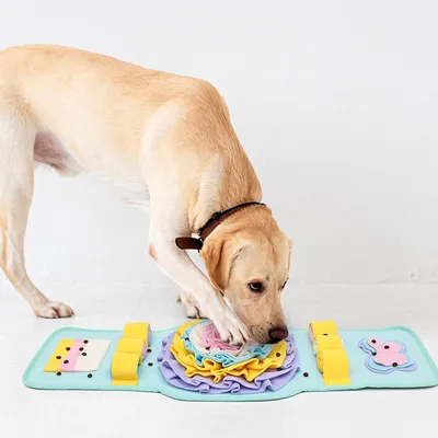 Tapis interactif pour chien renifleur, Forme de montre