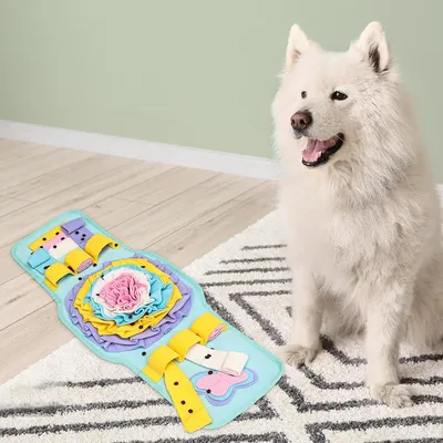 Tapis interactif pour chien renifleur, Forme de montre