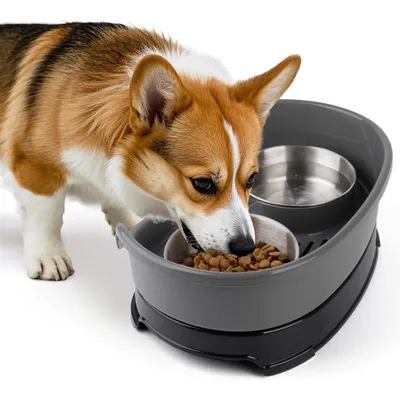 Ensemble de gamelles surélevées pour chien