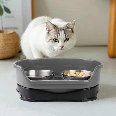 Ensemble de gamelles surélevées pour chien