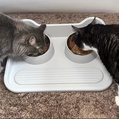 Ensemble de gamelles pour chien en acier inoxydable avec tapis antidérapant