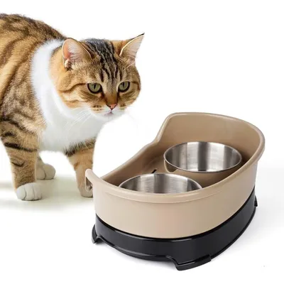 Ensemble de gamelles surélevées pour chien