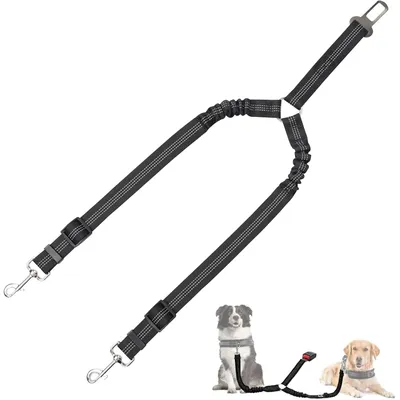Reitlaze Ceinture de sécurité double pour chien