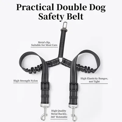 Reitlaze Ceinture de sécurité double pour chien