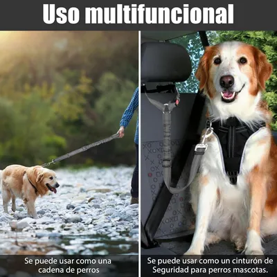 Reitlaze Ceintures de sécurité réglables pour chien