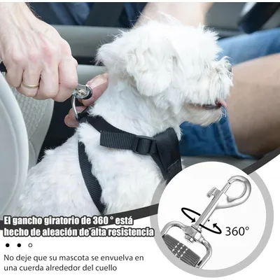 Reitlaze Ceintures de sécurité réglables pour chien