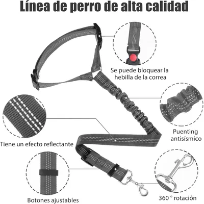 Reitlaze Ceintures de sécurité réglables pour chien