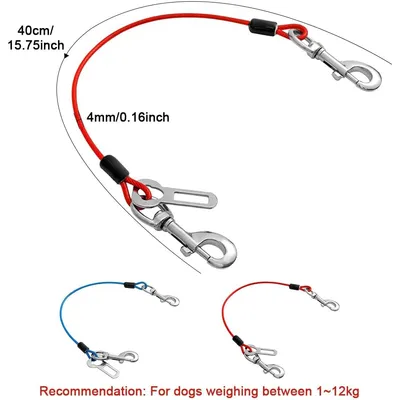 Reitlaze Câble d'attache pour Chiens, Longe Attache Chien Voiture