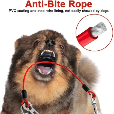 Reitlaze Câble d'attache pour Chiens, Longe Attache Chien Voiture