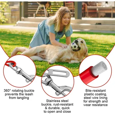 Reitlaze Câble d'attache pour Chiens, Longe Attache Chien Voiture
