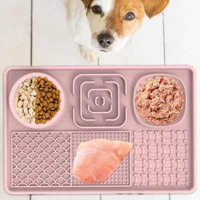Tapis de léchage lent à succion pour chien