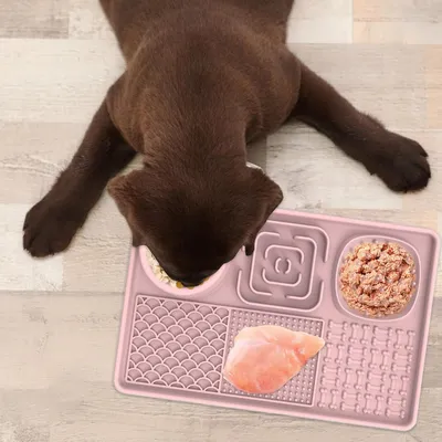 Tapis de léchage lent à succion pour chien