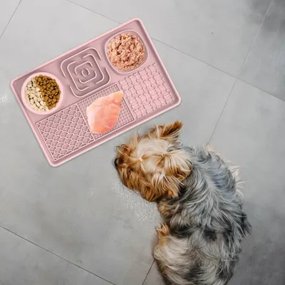 Tapis de léchage lent à succion pour chien
