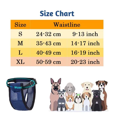 Qinhul Culotte hygiénique pour chien en maille respirante