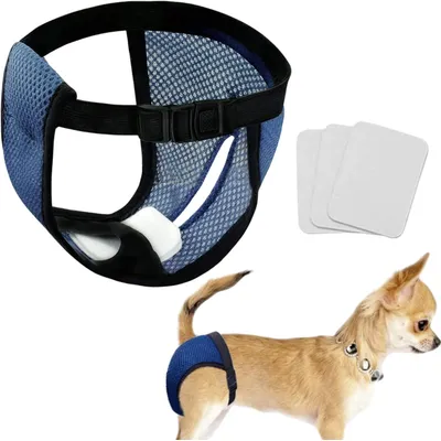 Qinhul Culotte hygiénique pour chien en maille respirante