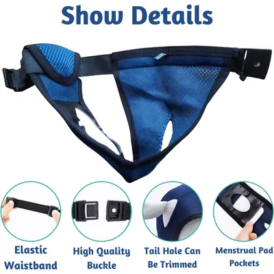 Qinhul Culotte hygiénique pour chien en maille respirante