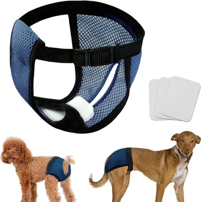 Qinhul Culotte hygiénique pour chien en maille respirante