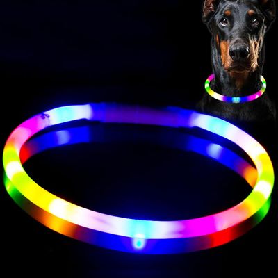 Collier lumineux rechargeable pour chien