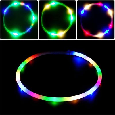 Collier lumineux rechargeable pour chien