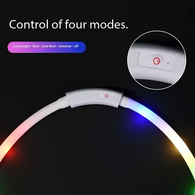 Collier lumineux rechargeable pour chien